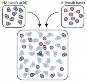 buffer solution